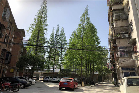 装修风格的分类及特点介绍